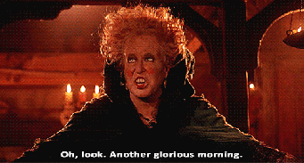 hocus_gif