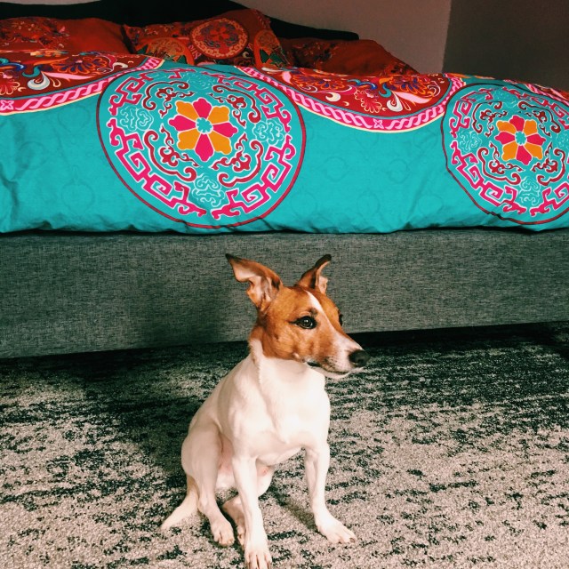 Processed with VSCO with c1 preset