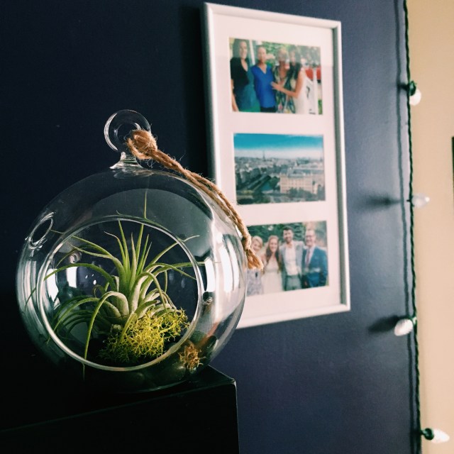 Processed with VSCO with c1 preset